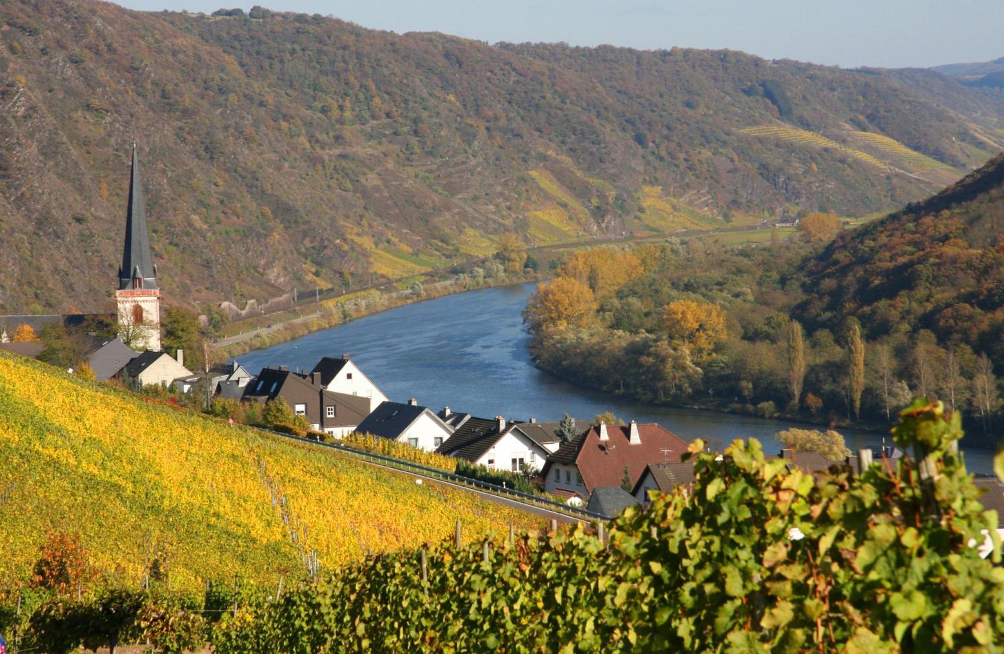 Weinhotel Hubertus Garni Клоттен Экстерьер фото