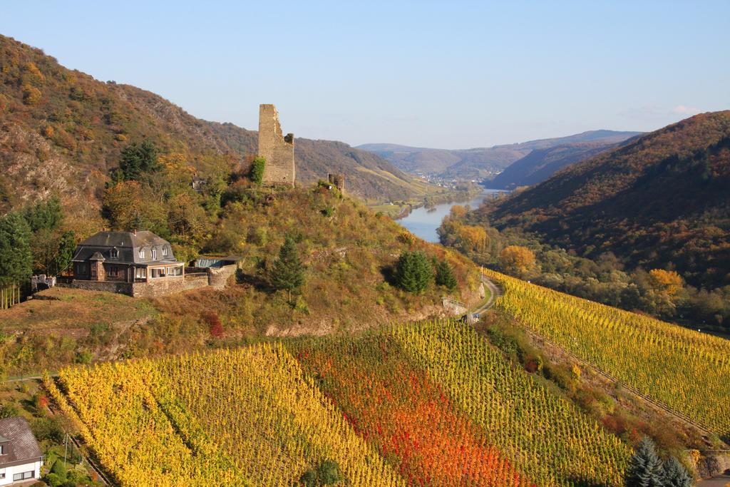 Weinhotel Hubertus Garni Клоттен Экстерьер фото