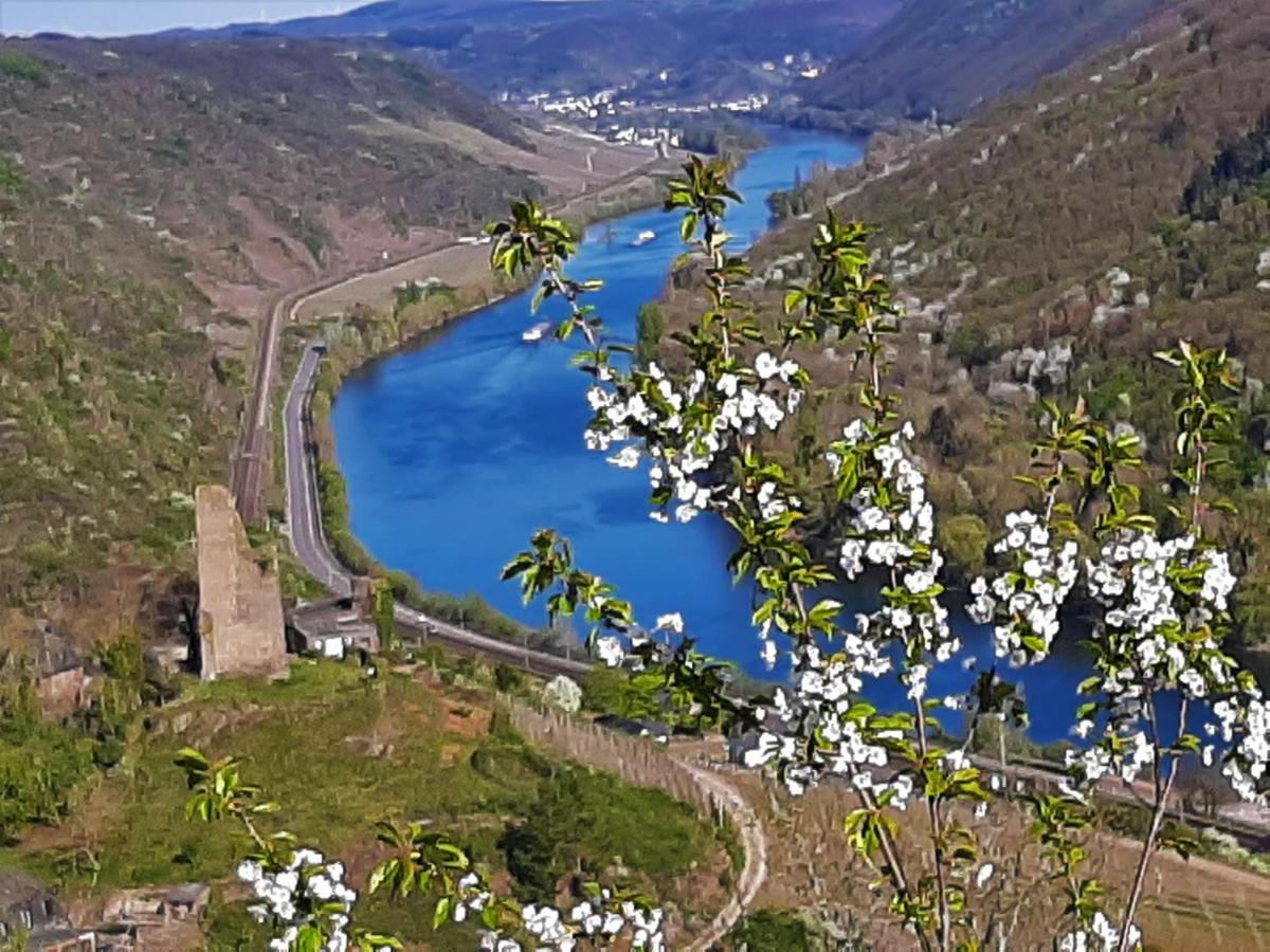 Weinhotel Hubertus Garni Клоттен Экстерьер фото